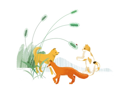 Foxtail Grass illustration