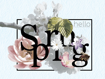 Hello Spring design 1/2
