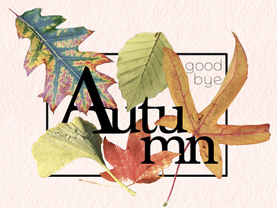 Goodbye autumn automne autumn autumnal collage color design design graphique designer portfolio fall feuilles graphic design graphic designer illustration leaf leaves