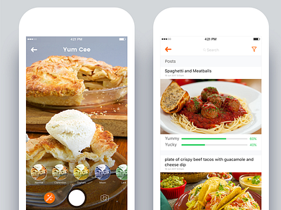 Filter Effects, Posts, Chat Screen - Food App