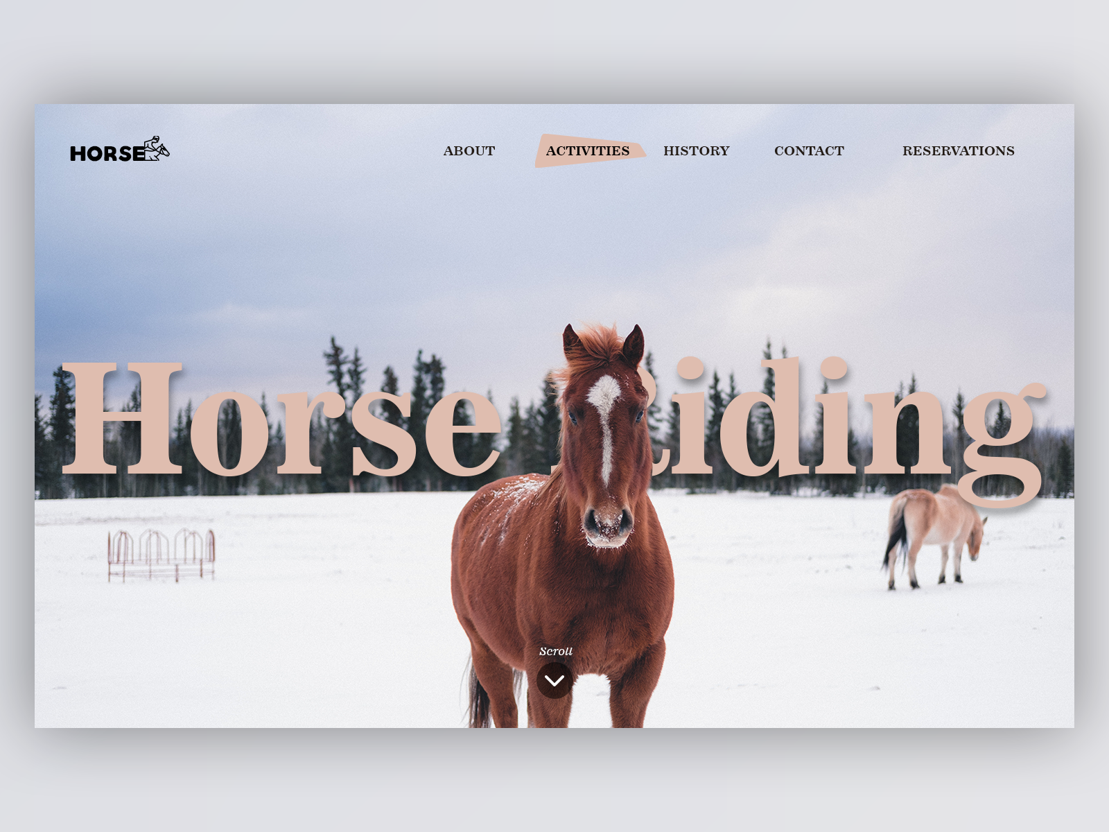 Horse Riding Landing Page