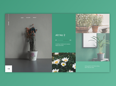 Hero Concept design for Plant Gallery design figma design illustration landing page landing page design minimal modern design portfolio web design web inspiration