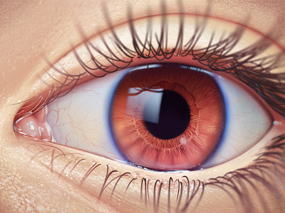 Eye anatomy brown eye iris medic rainbow retina sketch