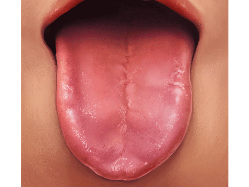 Tongue anatomy art book color disease doctor dr health illustration medic tongue
