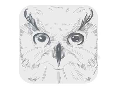 Owl app icon owl sketch