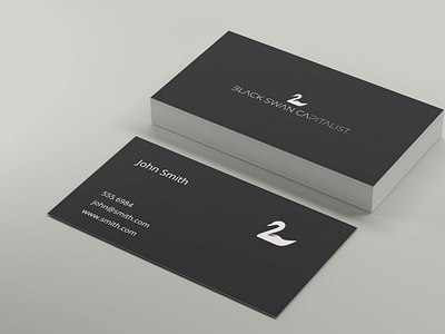 Brand Development | Black Swan Capitalist by Vandell Web Design on Dribbble