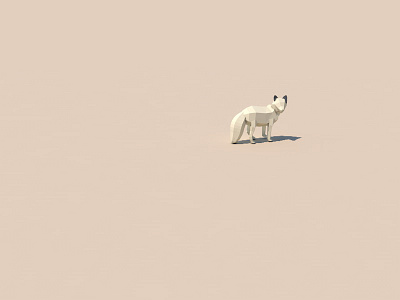 Only fox knows 3d alone animal c4d cinema 4d fox low poly minimal poly wolf