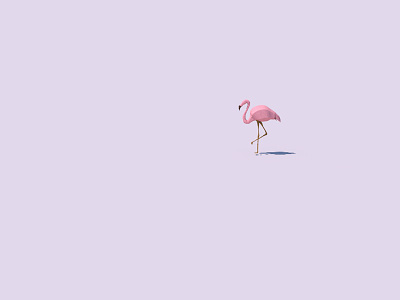 Only Flamingo knows 3d animal birds c4d cinema 4d flamingo low poly minimal poly waiting
