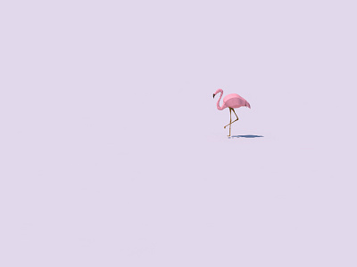 Only Flamingo knows