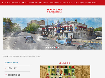 Novaya Zarya design web