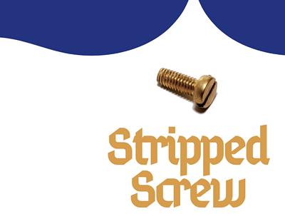 Remove stripped screw - Image