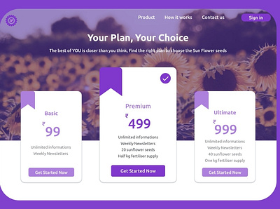 Pricing Web app design ux web