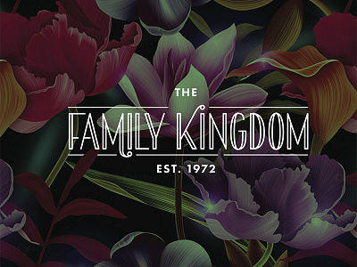 The Family Kingdom Resort - Logo branding custom identity lettering logo unused