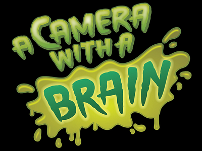 A Camera with a Brain