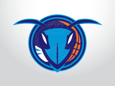 charlotte hornets - buzz city social by s. hardican on Dribbble