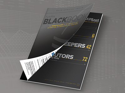 The Blackbook book editorial finance graphic design layout magazine money print typography