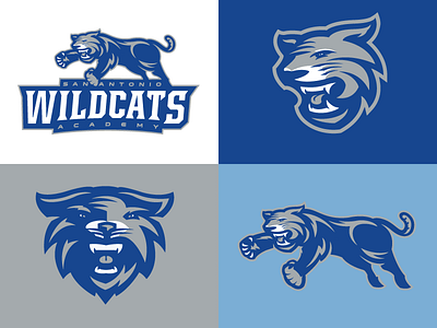 Rebranding the San Antonio Wildcats branding logo san antonio sports texas