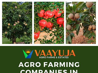 Vaayuja Agro Farming Companies in Hyderabad design landing landscape realestate