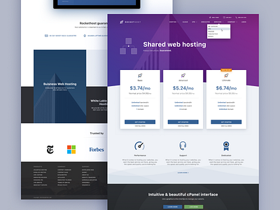 Web Hosting Product Page clean color depth dms hosting layout simple subscription ui ux web web design