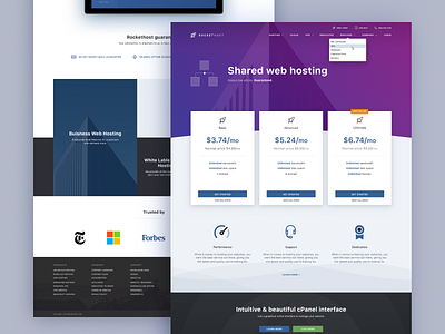 Web Hosting Product Page