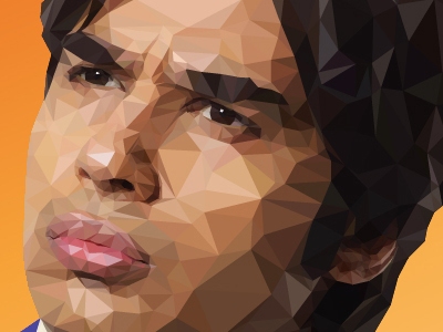 Raj - Low-Poly Illustration