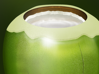 Coconut Illustration Draft coconut fruit icon illustration milk shell