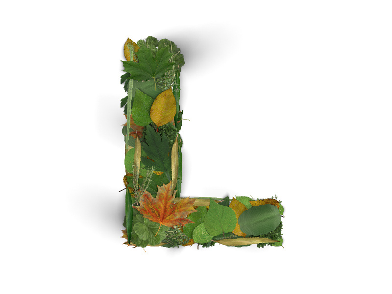 L for Leaves! by Palak Sanghani on Dribbble