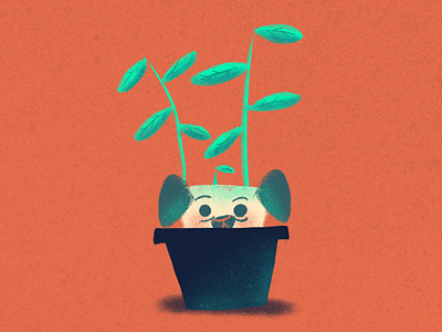 Dog Plant