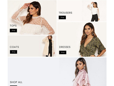 Shop category section - ladies boutique homepage branding designer ui web