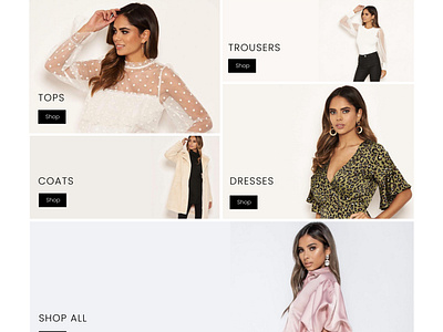 Shop category section - ladies boutique homepage