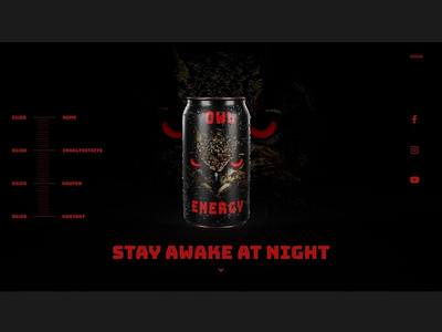 Owl Energy adobedimension adobexd design eye germany owl uxdesign webdesign