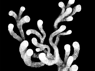 Coral sketch abstract black and white digital art illustration