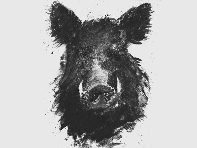 Wild boar illustration animal charcoal drawing illustration traditional art wild boar