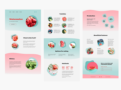 Watermelon Landing concept concept design landing page ui ux uxui web web desing вебдизайн лендинг