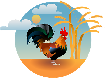 rooster design illustration vector