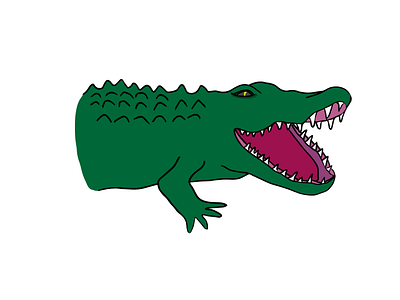 Gator alligator gators illustration illustration art vector