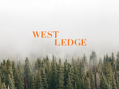 West Ledge Advisors Logo Concept advisors brand forest logo type