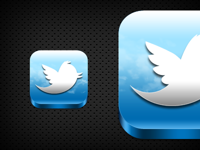 Twitter in the clouds bird icon twitter