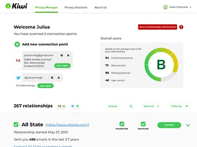 Kiwi Dashboard Visual Concept system design tables typogaphy ui ux visual