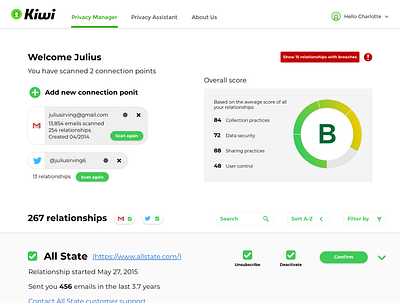 Kiwi Dashboard Visual Concept system design tables typogaphy ui ux visual