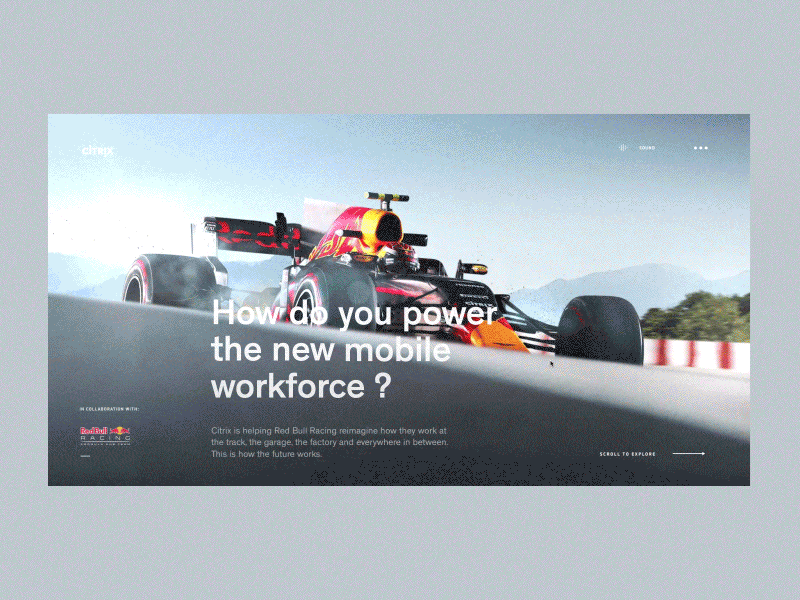 Redbull Racing x Citrix - Website Experience