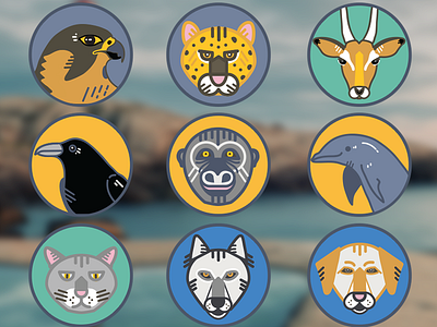 Tidepool - Animal Badges