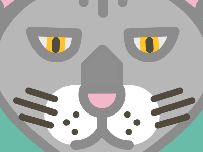 Cat iPhone Wallpaper