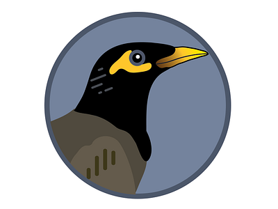 TidePool - Myna Badge badge bird illustration