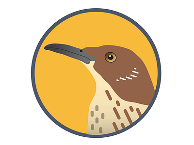 TidePool - Brown Thrasher Badge badge bird illustration