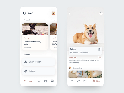 Doggy: An App for Dog Owners