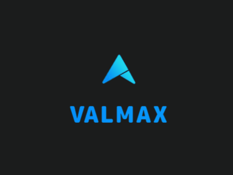 Valmax digital animation art brand brand identity branding corporate design graphic design icon identity design illustrator logo style trand ui web website