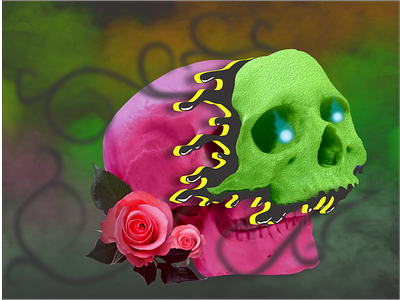 Skull Split animated color colorful creative design illustration roses skull vector