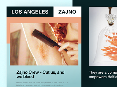 Zajno Newsletter: The Launch agency art brand branding bright colors cover creative design digital email friendly launch music news feed newsletter share technology typography ui ux zajno