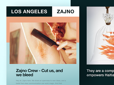 Zajno Newsletter: The Launch